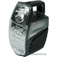 Радиоприемник Ritmix RPR-555