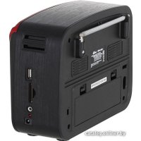 Радиоприемник Ritmix RPR-050 (красный)
