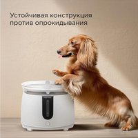 Поилка Redmond (Редмонд) PC5400S в Пинске