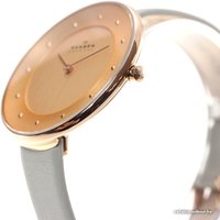 Наручные часы Skagen SKW2139
