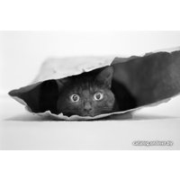 Сет Sushi House Кот в мешке