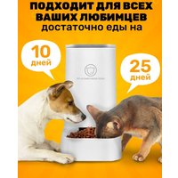 Кормушка электронная Classmark 21101605