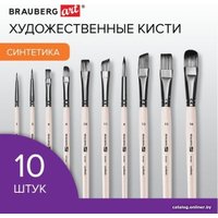 Набор кистей BRAUBERG Art Debut 201050 (10 шт)