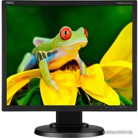 Монитор NEC MultiSync EA192M Black