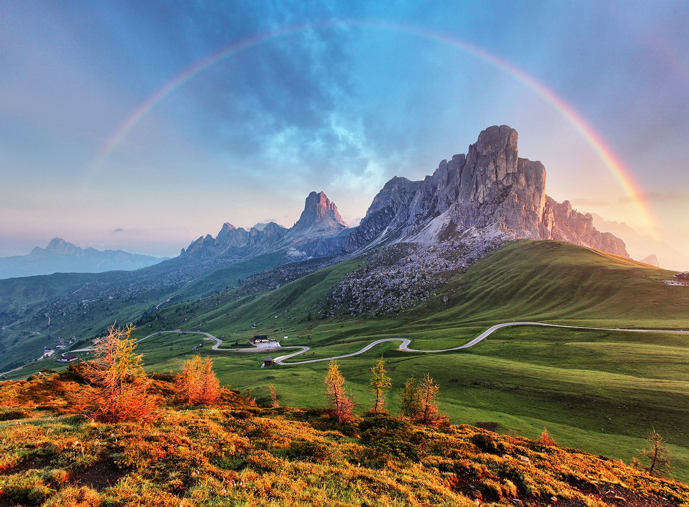 

Картина Vimala 134 50x70 см