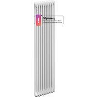 Стальной трубчатый радиатор Теплофорт ТР 3030-4, БП 3/4 (4 секции)