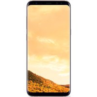 Смартфон Samsung Galaxy S8+ Dual SIM 64GB (желтый топаз) [G955FD]