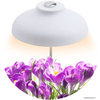 Настольная лампа ЭРА FITO-12W-FLED