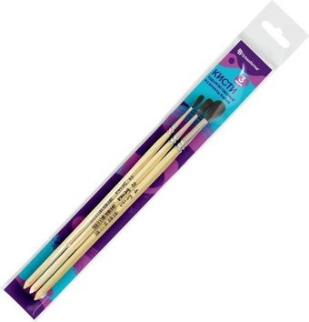 Набор кистей Schoolformat Белка №2, 3, 4 НКБХК-3