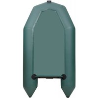 Моторно-гребная лодка Leader Boats Тайга-290-М 2902021 (зеленый)