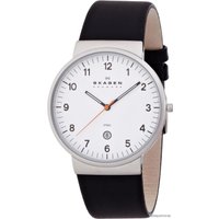 Наручные часы Skagen SKW6024