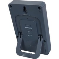 Термометр Levenhuk Discovery Report W30 78873