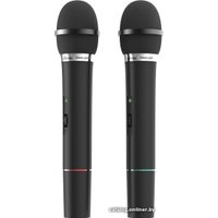 Радиосистема Ritmix RWM-220