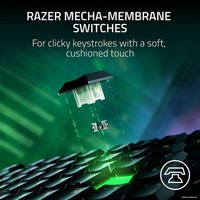 Клавиатура Razer Ornata V3 TKL