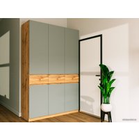 Шкаф распашной ЭлиГард Locarno 3 (дуб натуральный/дымчатый алмаз)