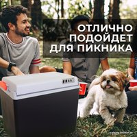 Термоэлектрический автохолодильник Miru MCW30E 30л (черный/серый)