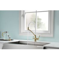 Смеситель Paulmark Siegen Si213111-GW