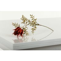 Стол-трансформер Levmar Cross GL (белый глянец/опоры нержавеющая сталь)