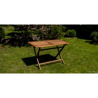 Стол Fieldmann FDZN 4011-T