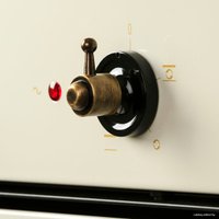 Газовый духовой шкаф Freggia OMRB66CH