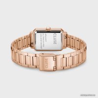 Наручные часы Cluse Fluette CW11503