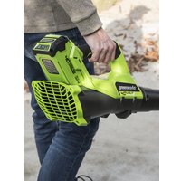 Садовая воздуходувка Greenworks G40ABK4 (с АКБ 4 Ah)