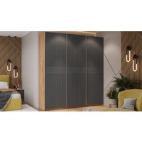 Шкаф-купе Трия Оскар Хилтон Т2 2100 271118 (ручка серебро/дуб крафт золотой/графит матовый)