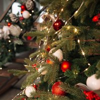 Ель Erbis Swierk PE Gesty Lux 180