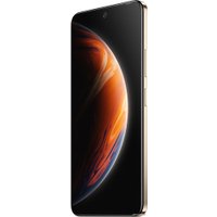 Телефон Infinix Zero X Pro 8GB/128GB (коричневый)