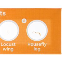 Набор микропрепаратов Levenhuk Discovery Флора и фауна 78226 (24шт)