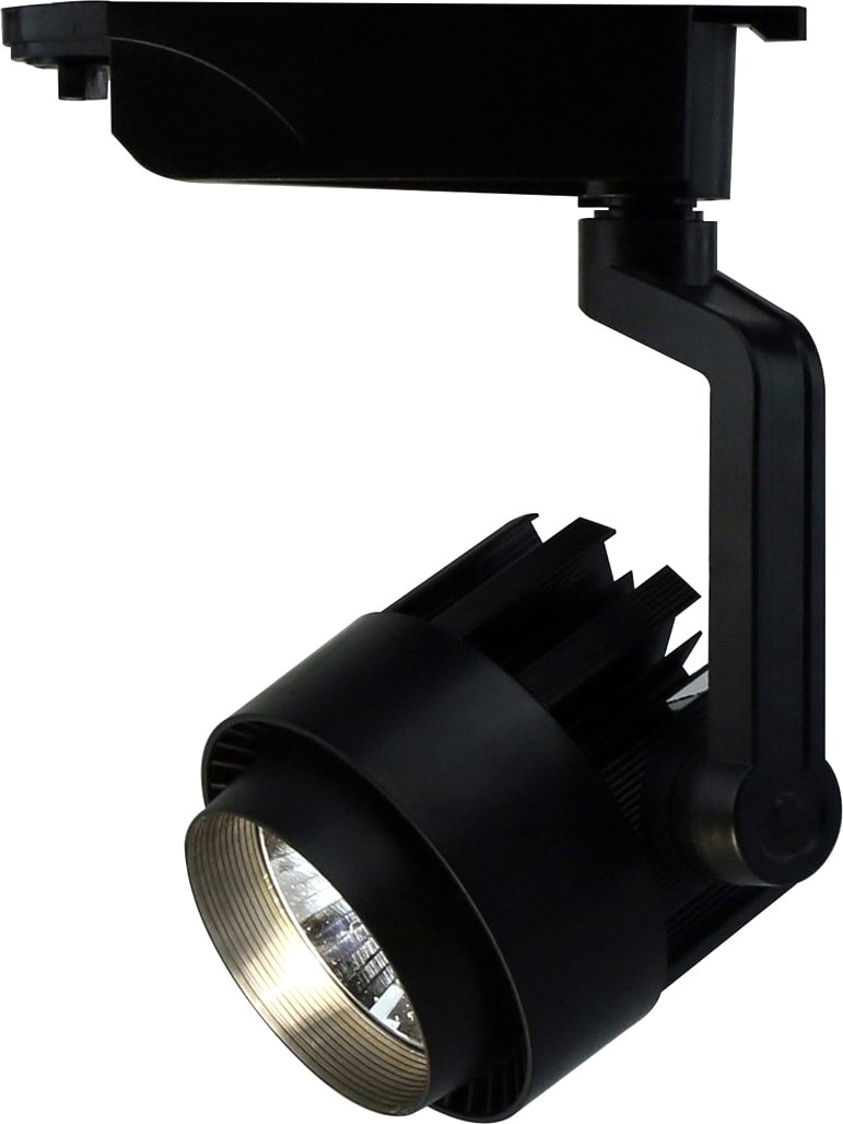 

Светильник Arte Lamp Vigile Medio A1620PL-1BK