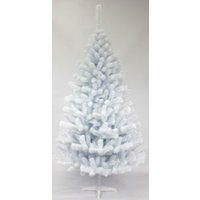 Пихта Toyland Белая 1.5 м