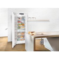 Морозильник Liebherr GN 5275 Premium