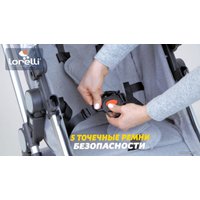 Универсальная коляска Lorelli Lora 2021 (2 в 1, luxe red elephants)