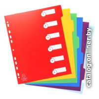 Разделитель документов Exacompta Maxi 4806E (ассорти)