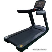 Электрическая беговая дорожка CardioPower Pro CT300