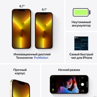 Смартфон Apple iPhone 13 Pro Max 128GB Восстановленный by Breezy, грейд C (золотистый)