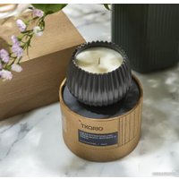 Свеча Tkano Edge Black Ink TK23-ARO0031 (серый)