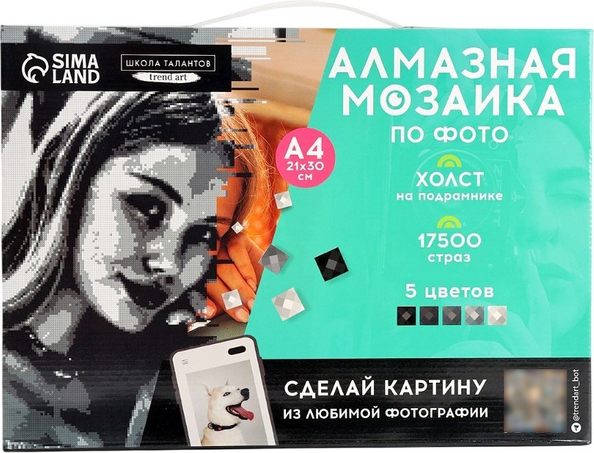 Алмазная мозаика  Школа талантов Gray 10699405