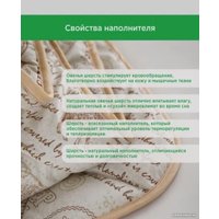 Одеяло Даргез Находка 20(33)323 (172x205)