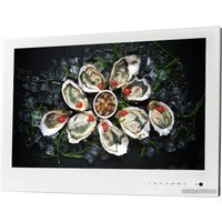 Телевизор AVEL AVS240WS (белый)