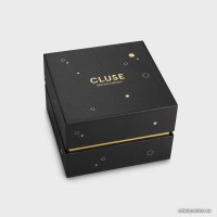 Наручные часы со сменной частью Cluse Triomphe CG10404