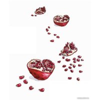 Книга издательства Попурри. Соль, жир, кислота, жар. Главные элементы хорошей кухни (Носрэт С.) в Могилеве