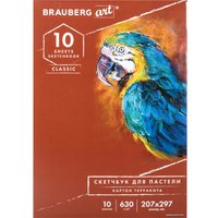 Альбом для рисования BRAUBERG Art Classic 105922 (10 л)