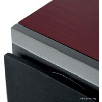 Напольная акустика Dynaudio DM 3/7