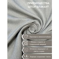 Штора Модный текстиль 112MT6670M28 (250x150, светлый асфальт)