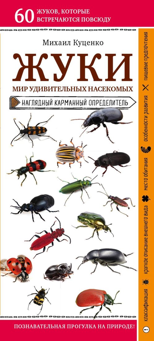 

Книга издательства Эксмо. Жуки. Мир удивительных насекомых (Куценко Михаил Евгеньевич)