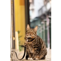 Объектив Panasonic Lumix S 28-200mm F/4-7.1 Macro O.I.S.