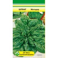 Семена МинскСортСемОвощ Шпинат Матадор 2 г в Бобруйске