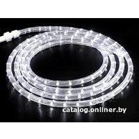 Дюралайт Neon-Night 245-119 36 LED (мульти) в Бобруйске